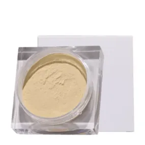 Everlast Matte Loose Powder - MQO 12 pcs