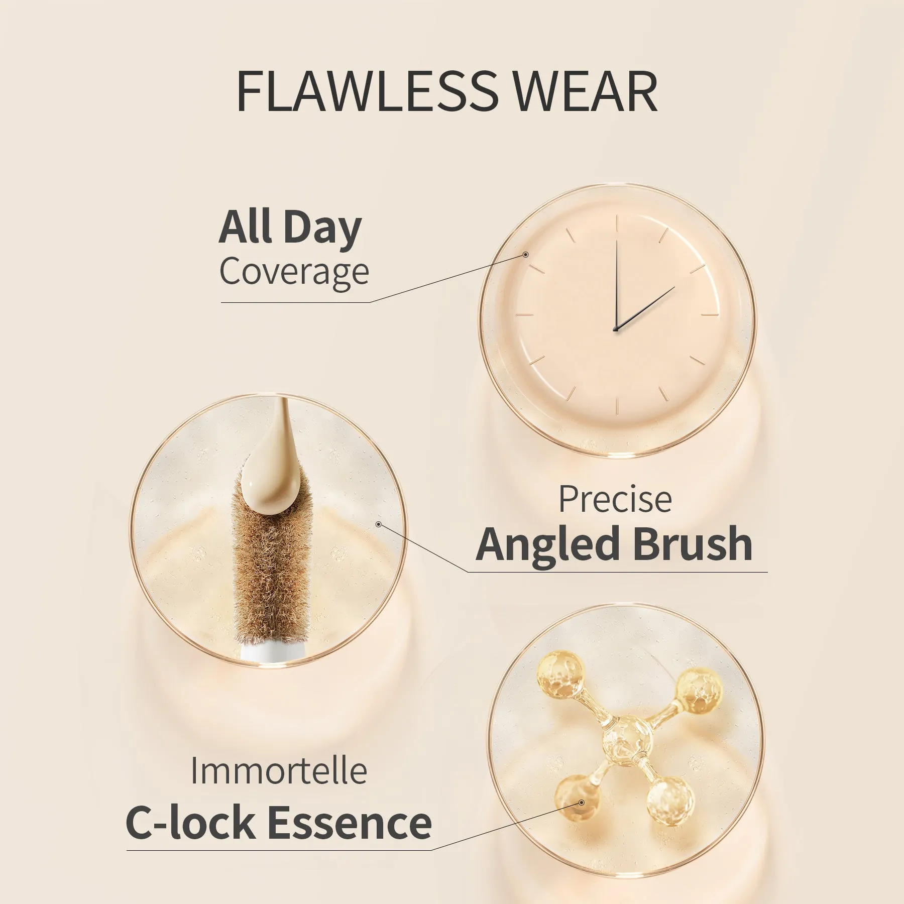 NoutriWear  Complete Cover Concealer